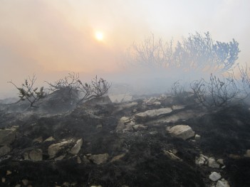 2012: Požar na platou Prenja - Fire on Mt Prenj plateau